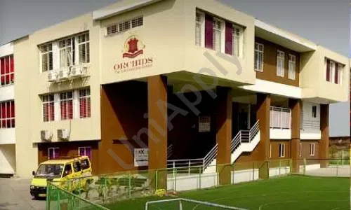 The Orchid School
