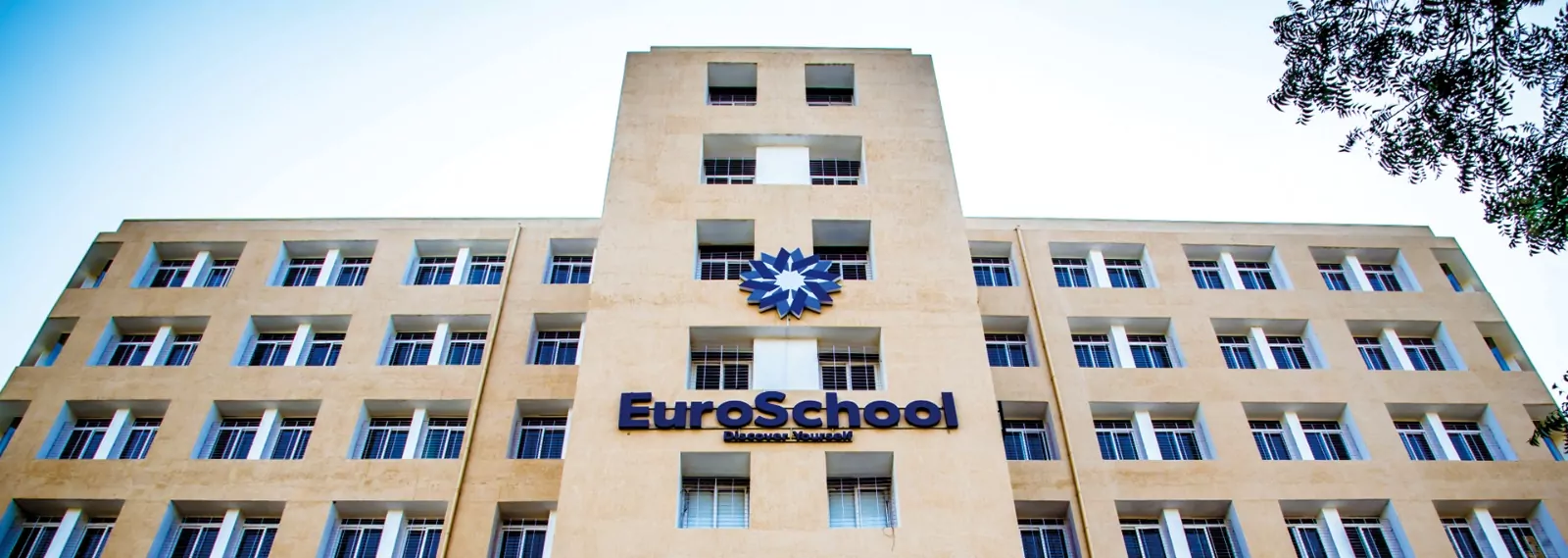 Euro School