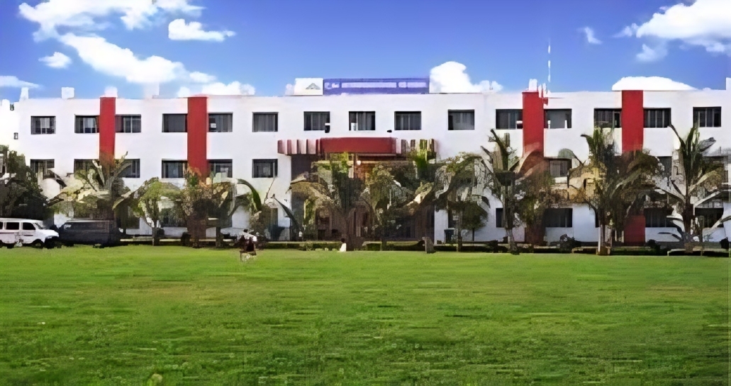 C M International School