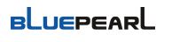 BluePearl Group